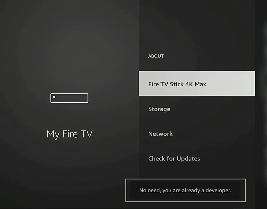 Enable Developer Options magistv